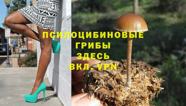 бошки Алзамай