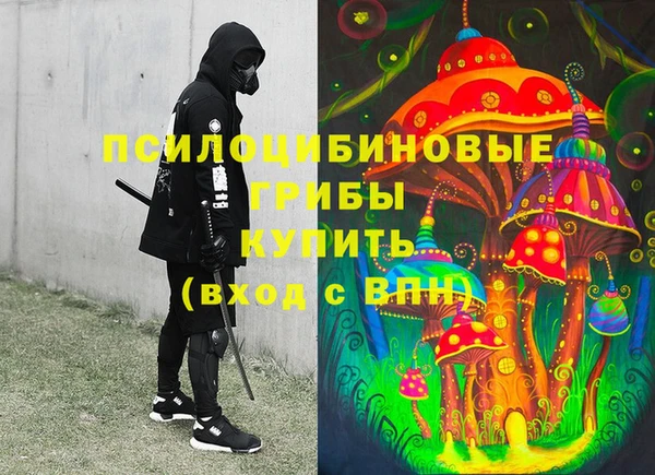 бошки Алзамай