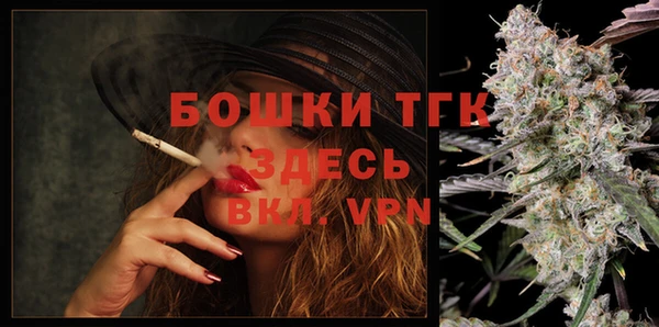 гашик Алексеевка