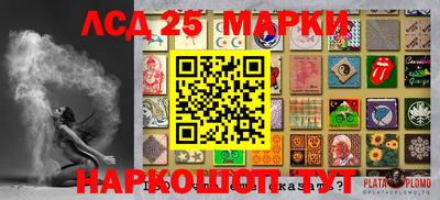 гидропоника Пенза