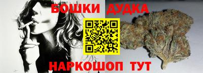 spice Обнинск
