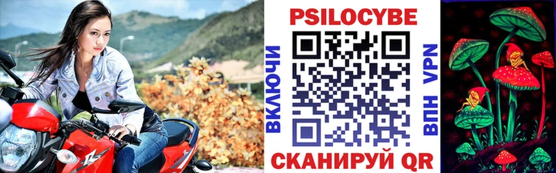 Галлюциногенные грибы прущие грибы  Волоколамск 