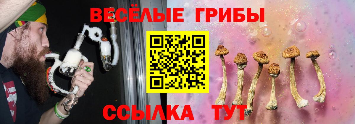 Волоколамск  Псилоцибиновые грибы MAGIC MUSHROOMS  Вход с VPN 